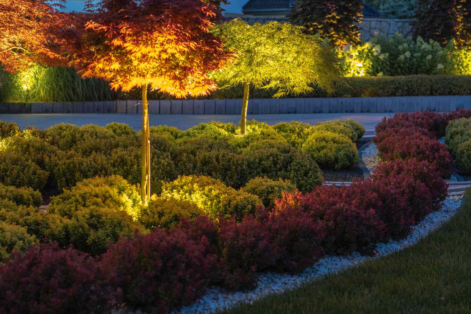 Warm landscape lighting illuminating trees and garden beds at dusk, maintained by Outdoor Lighting Experts in Greenville, SC